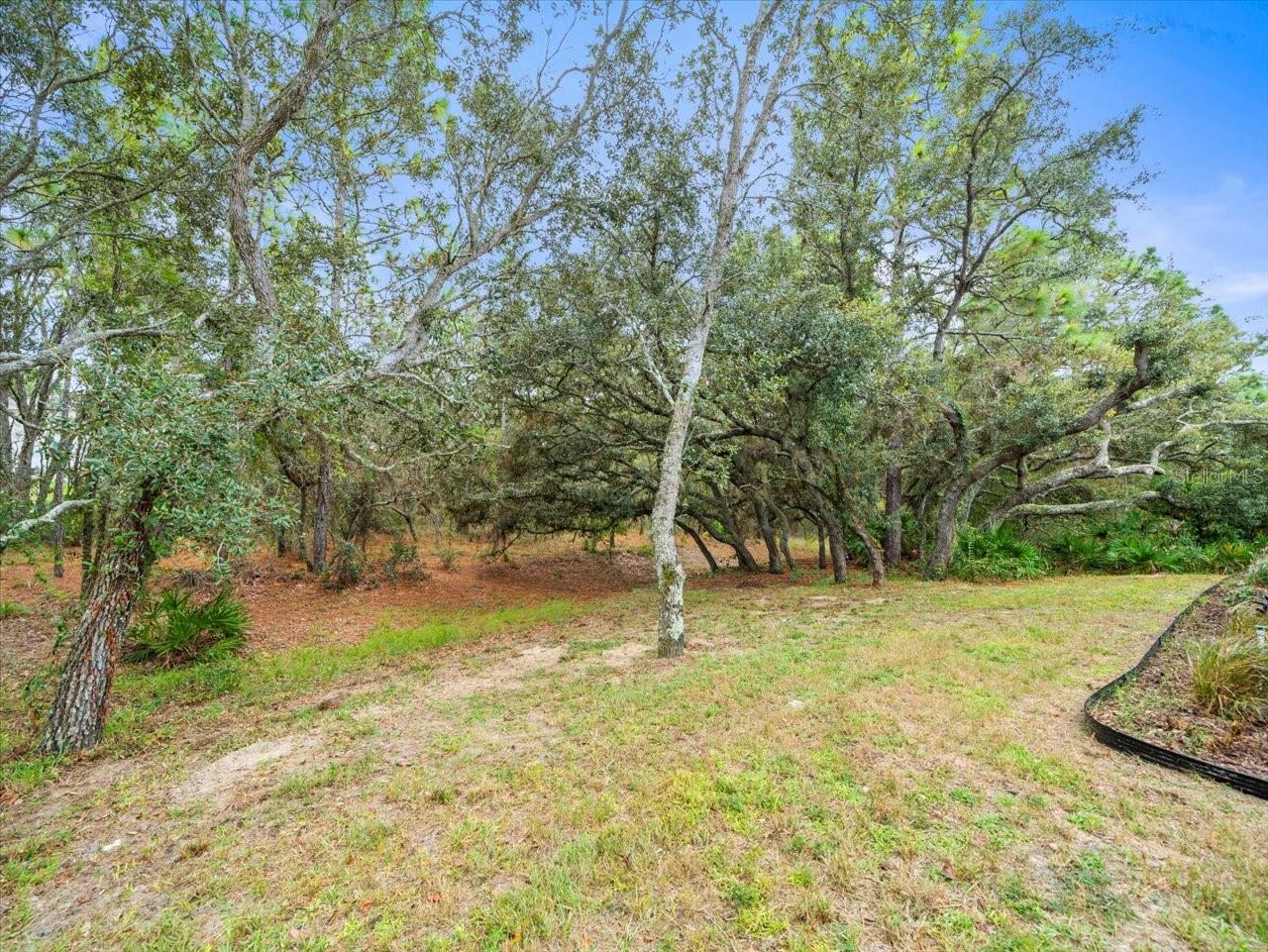 Image 38 of 44 For 13 Witch Hazel Court