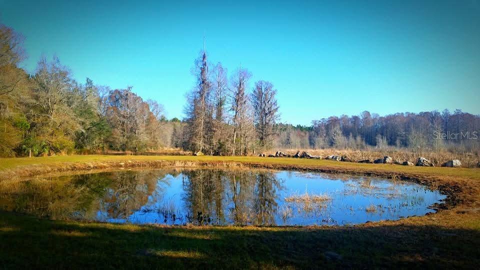 Details for 1106 Fox Hunter Rd, PERRY, FL 32348