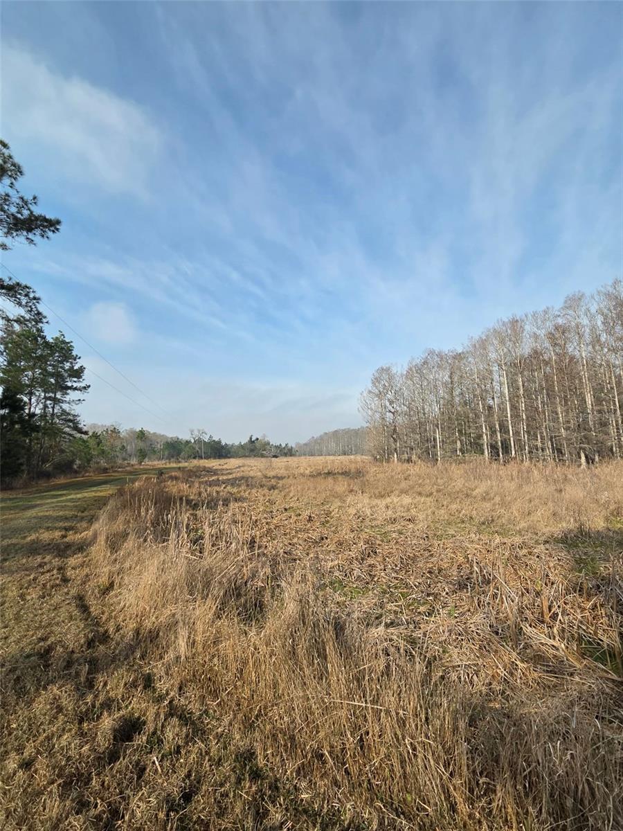 Image 16 of 23 For 1106 Fox Hunter Rd