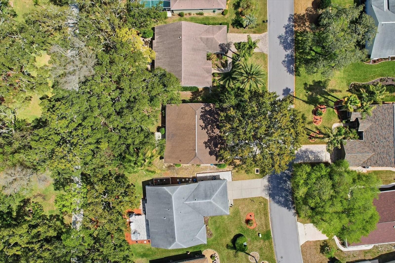 Image 42 of 45 For 7361 Rosemont Lane