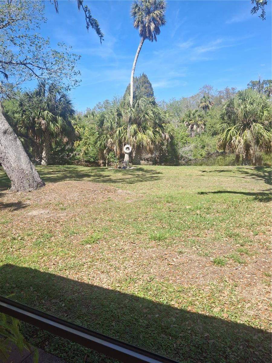 Image 11 of 24 For 4503 Edith Street