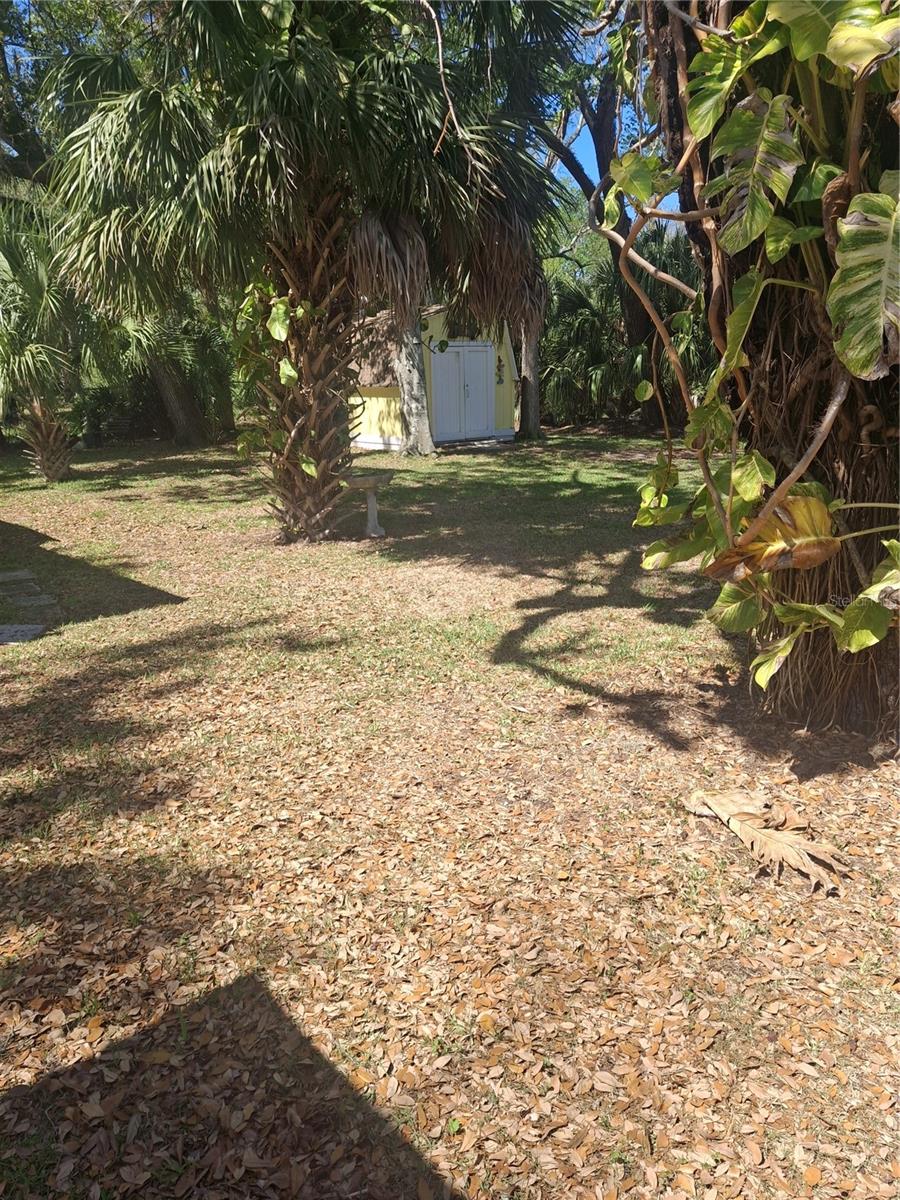 Image 8 of 24 For 4503 Edith Street