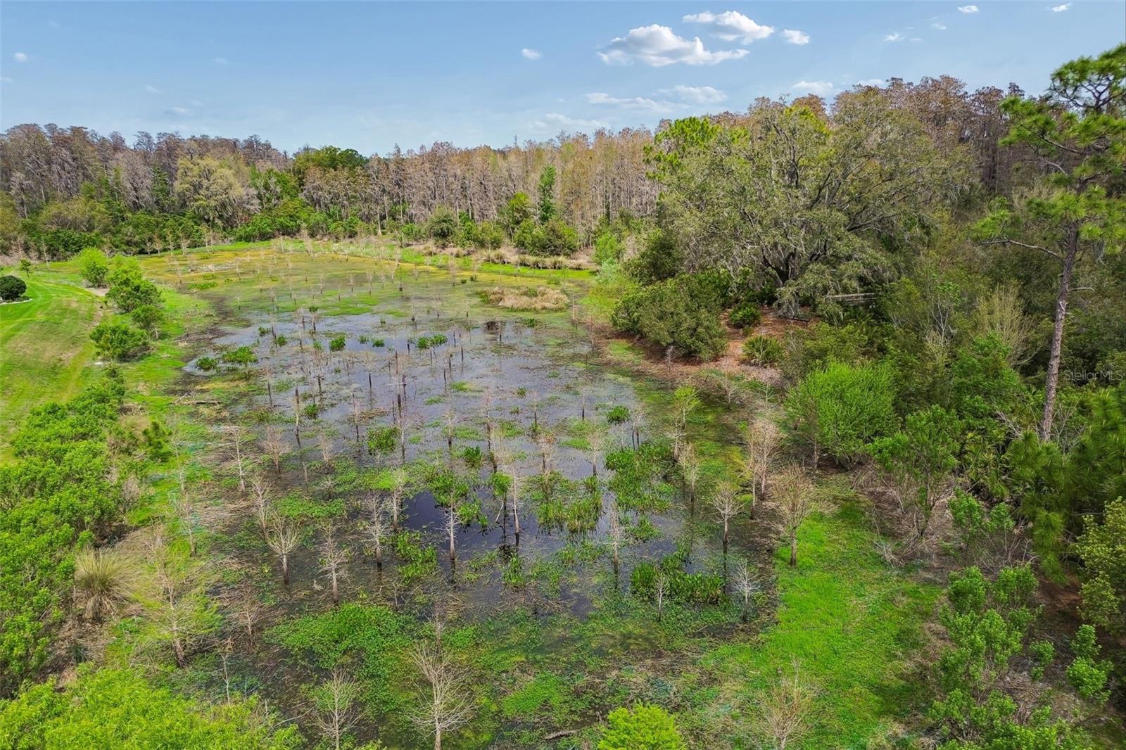 Listing photo id 95 for 3462 Forsythia Drive