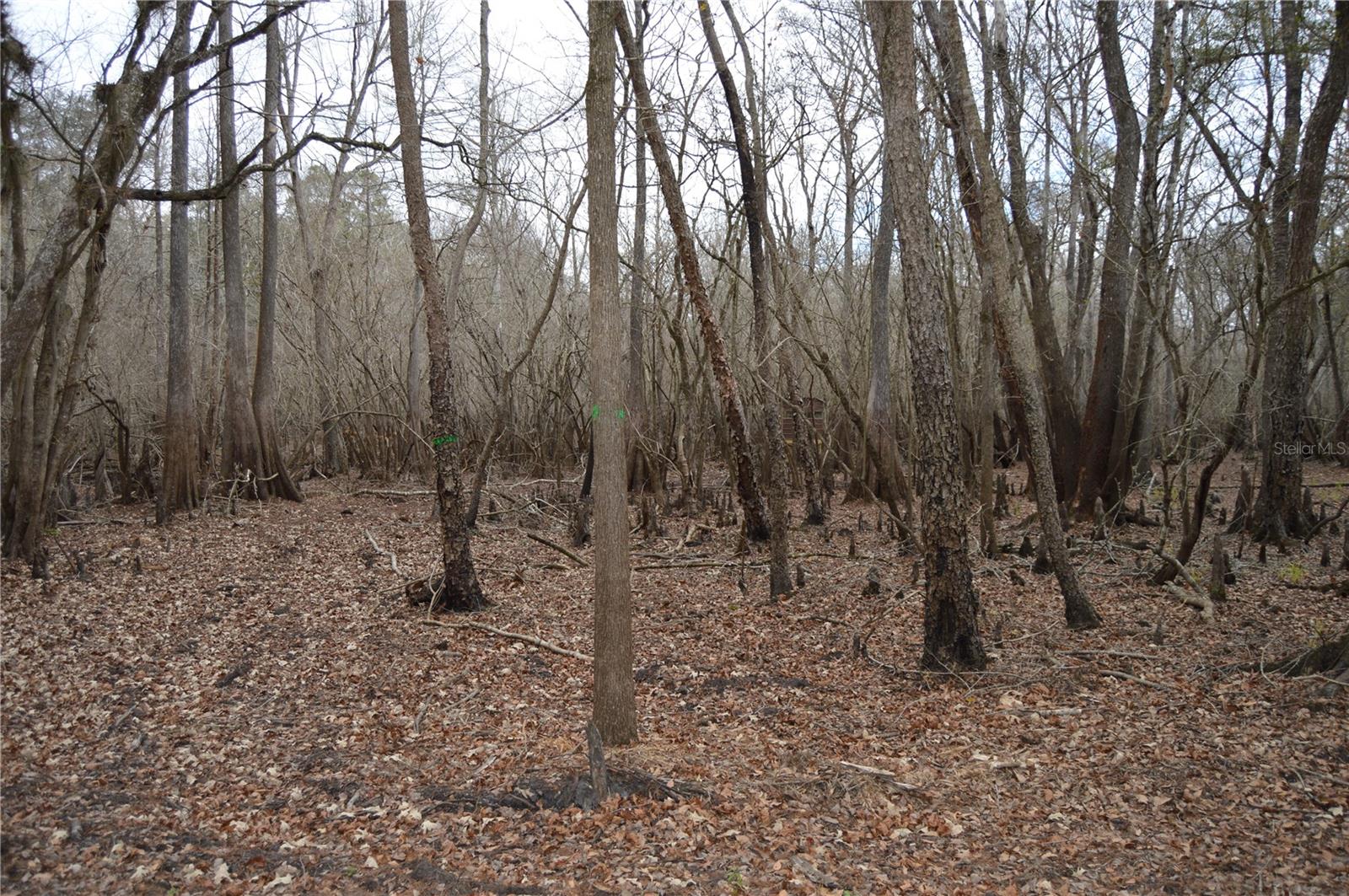 Image 25 of 51 For 1459 743 Street