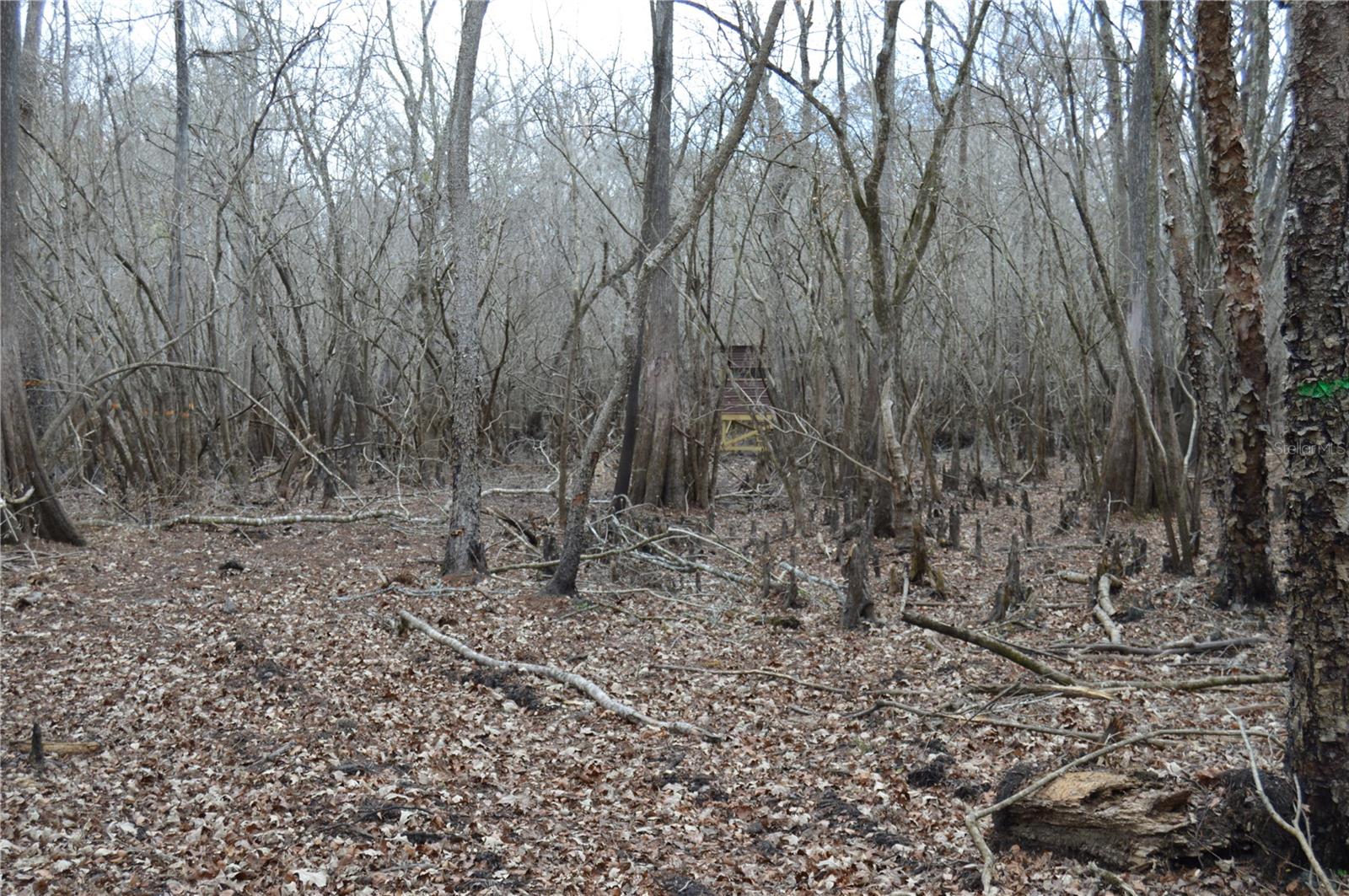 Image 26 of 51 For 1459 743 Street