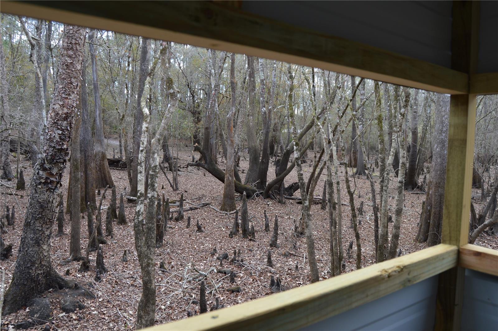 Image 28 of 51 For 1459 743 Street