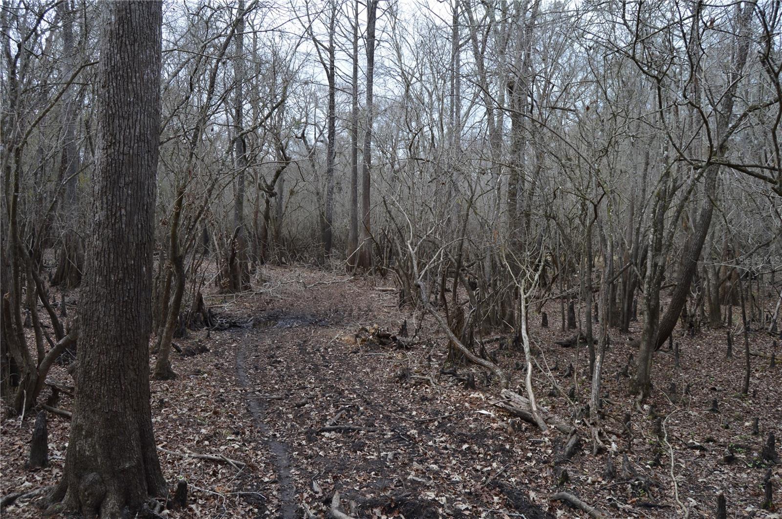 Image 31 of 51 For 1459 743 Street