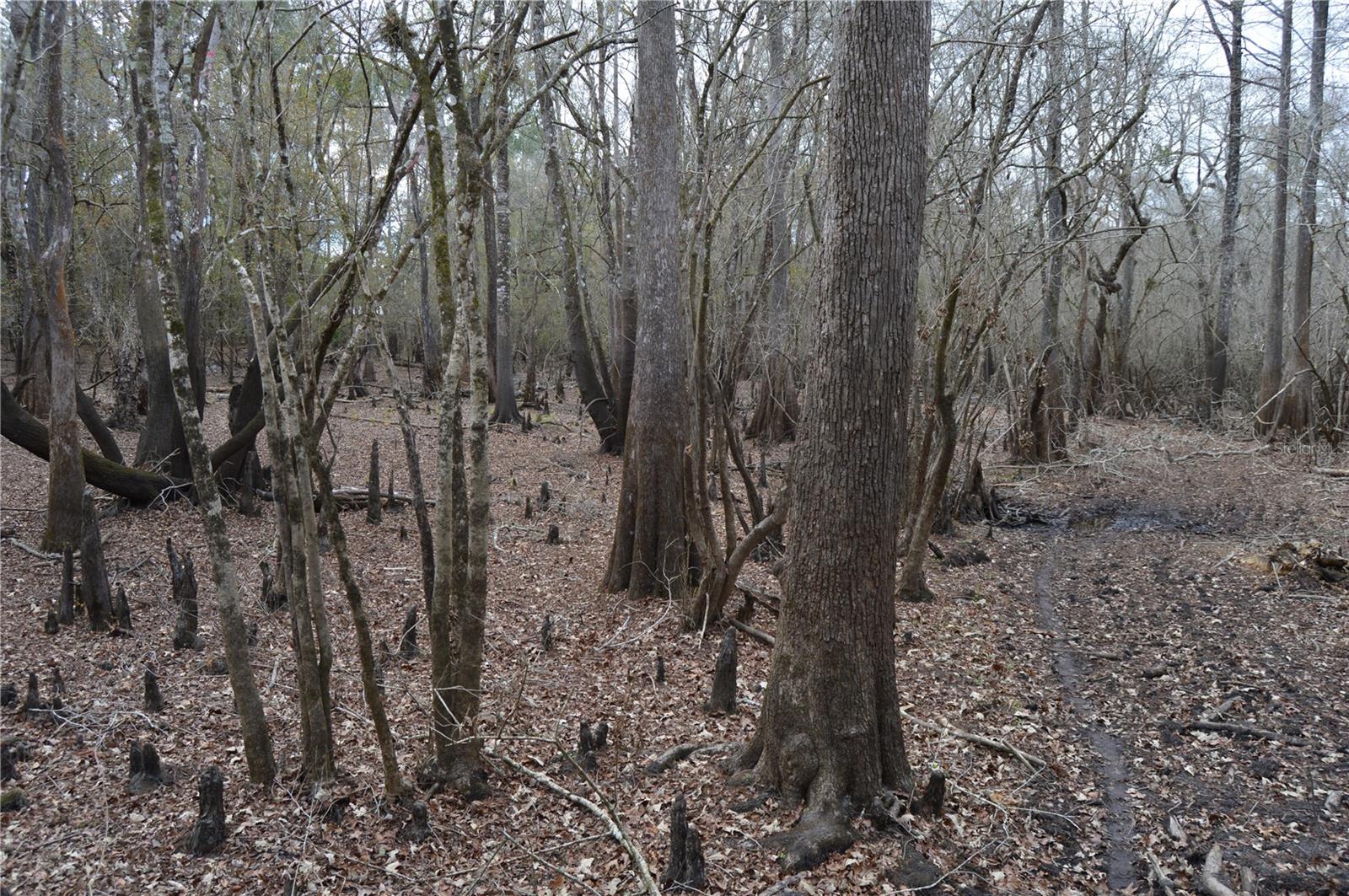 Image 32 of 51 For 1459 743 Street