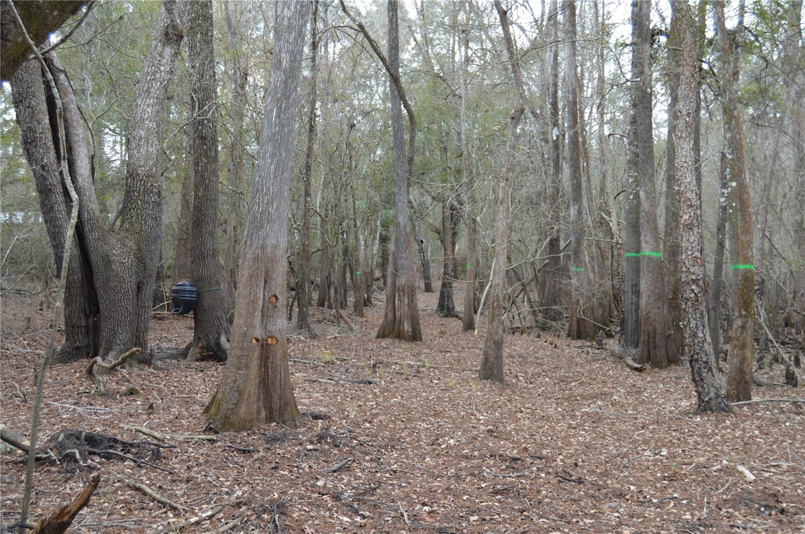 Image 33 of 51 For 1459 743 Street