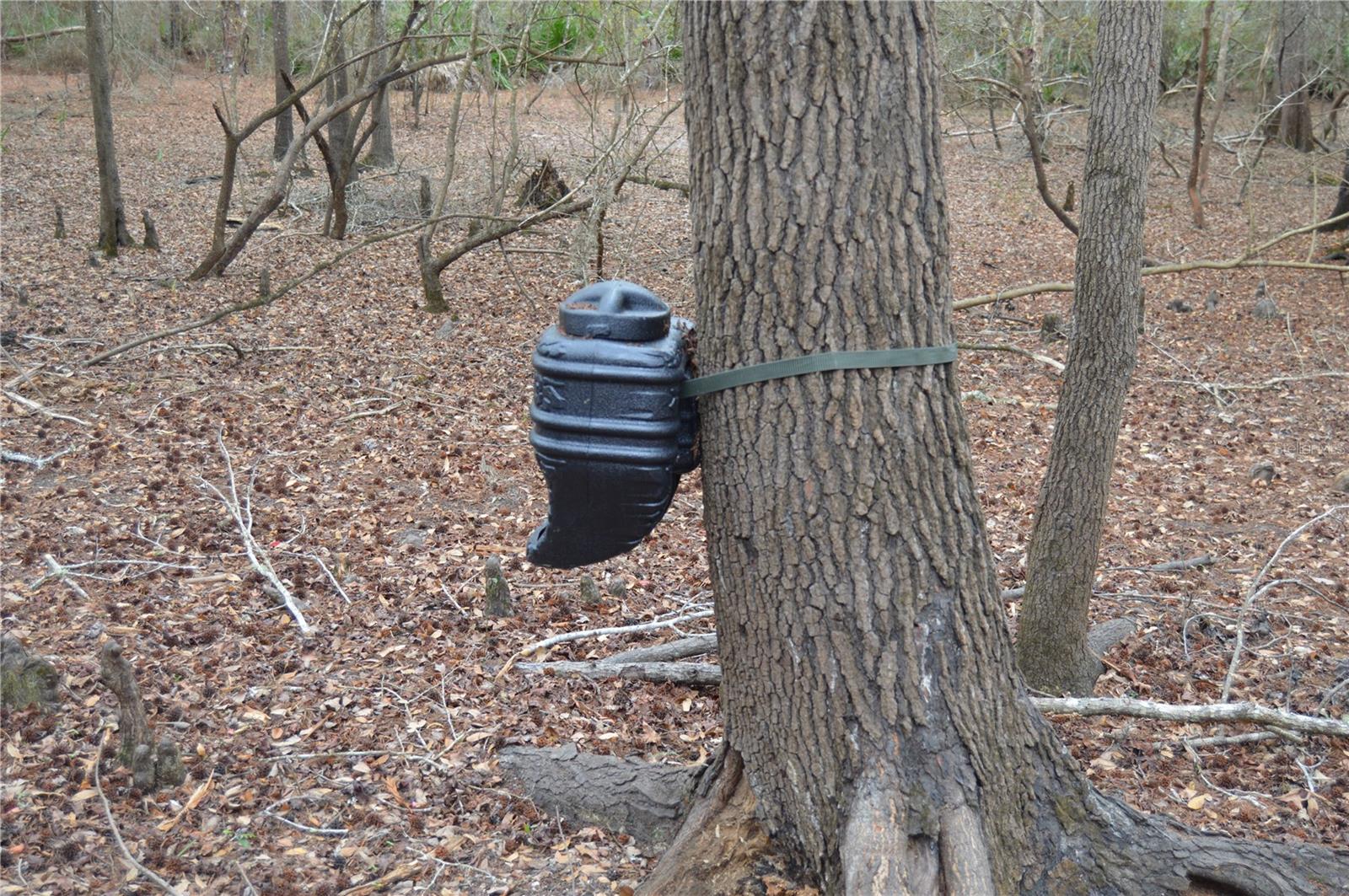 Image 34 of 51 For 1459 743 Street