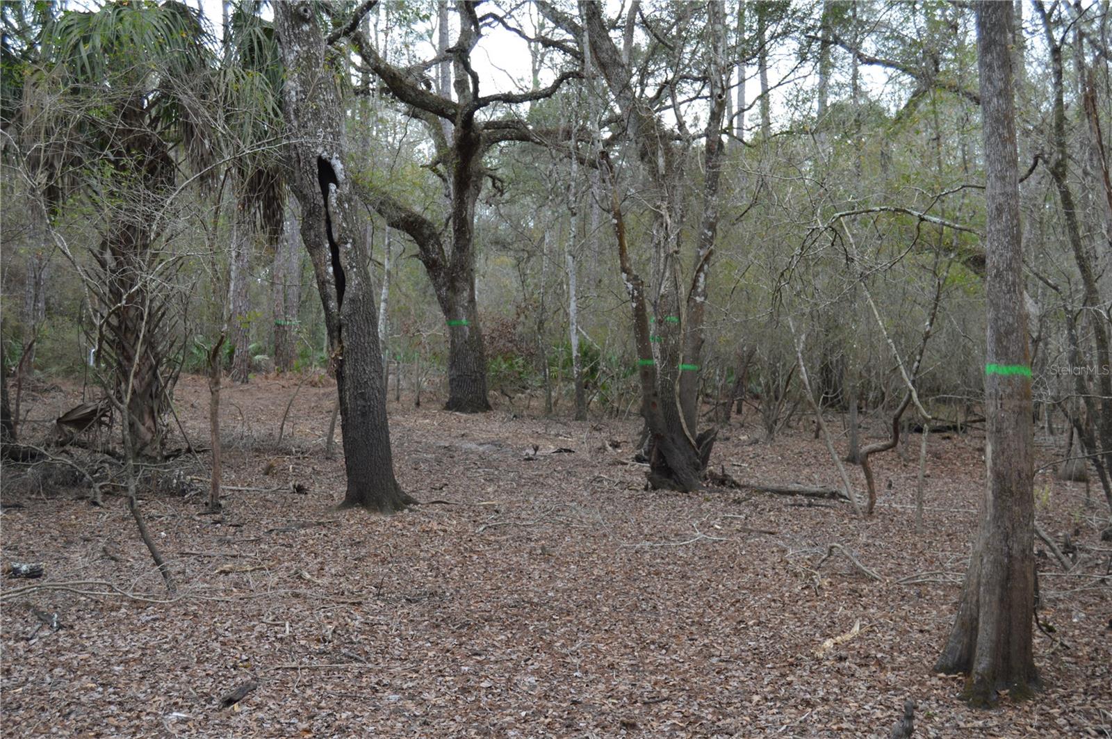 Image 36 of 51 For 1459 743 Street