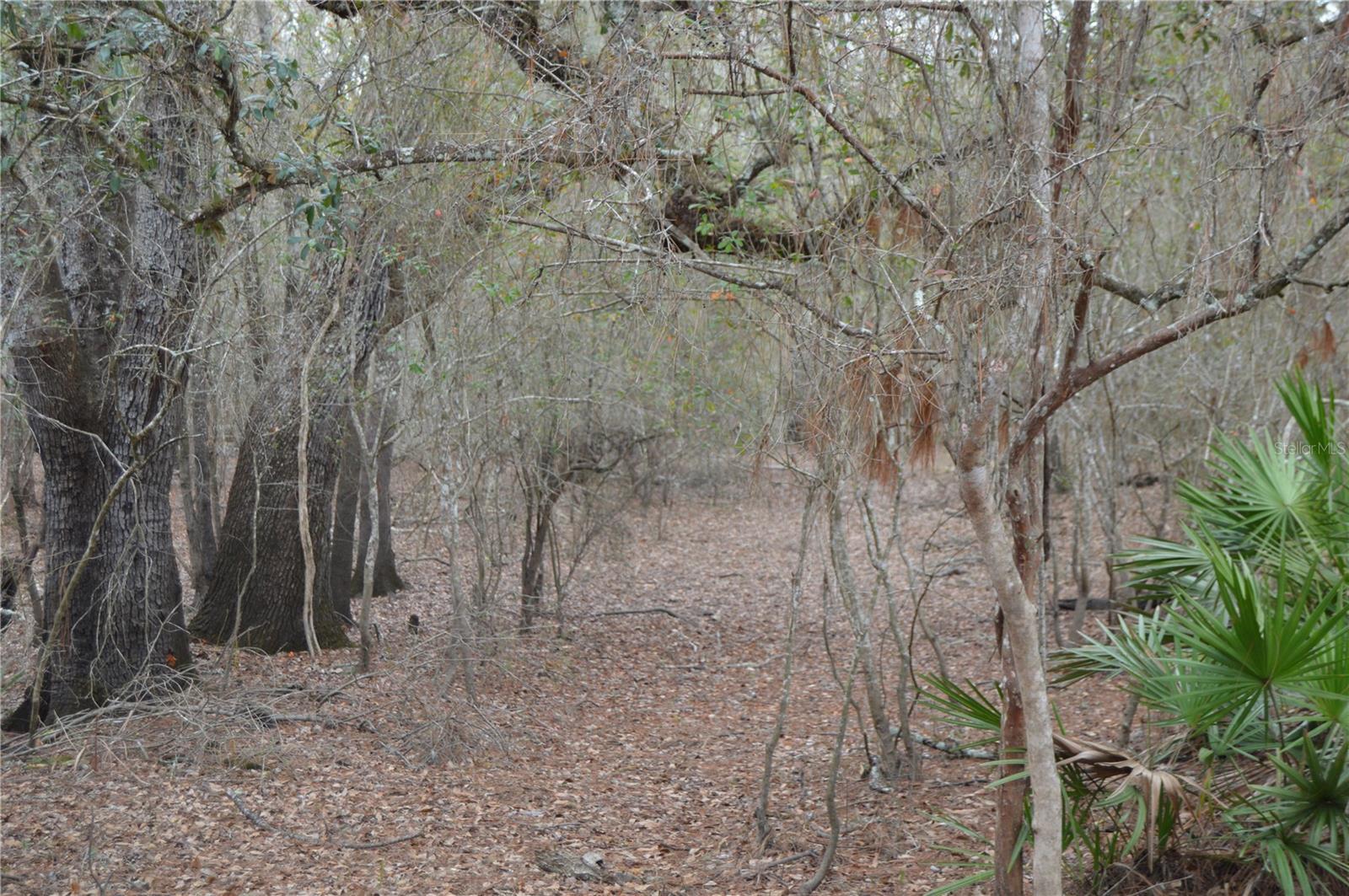 Image 39 of 51 For 1459 743 Street