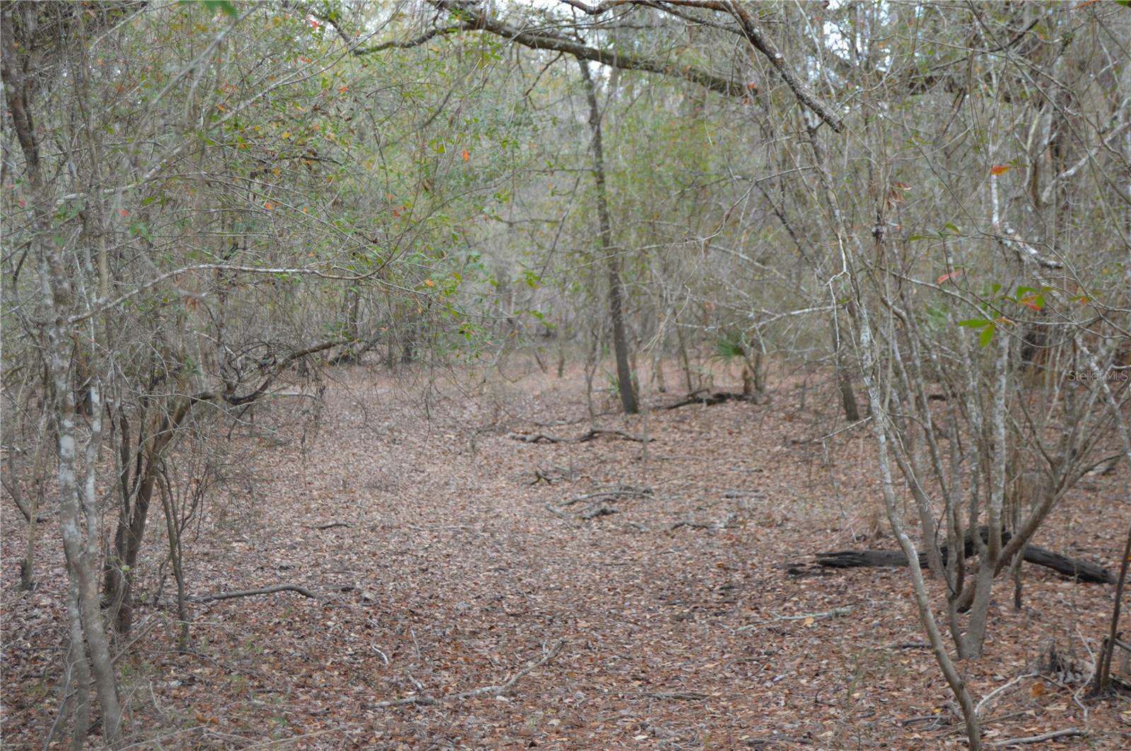 Image 40 of 51 For 1459 743 Street