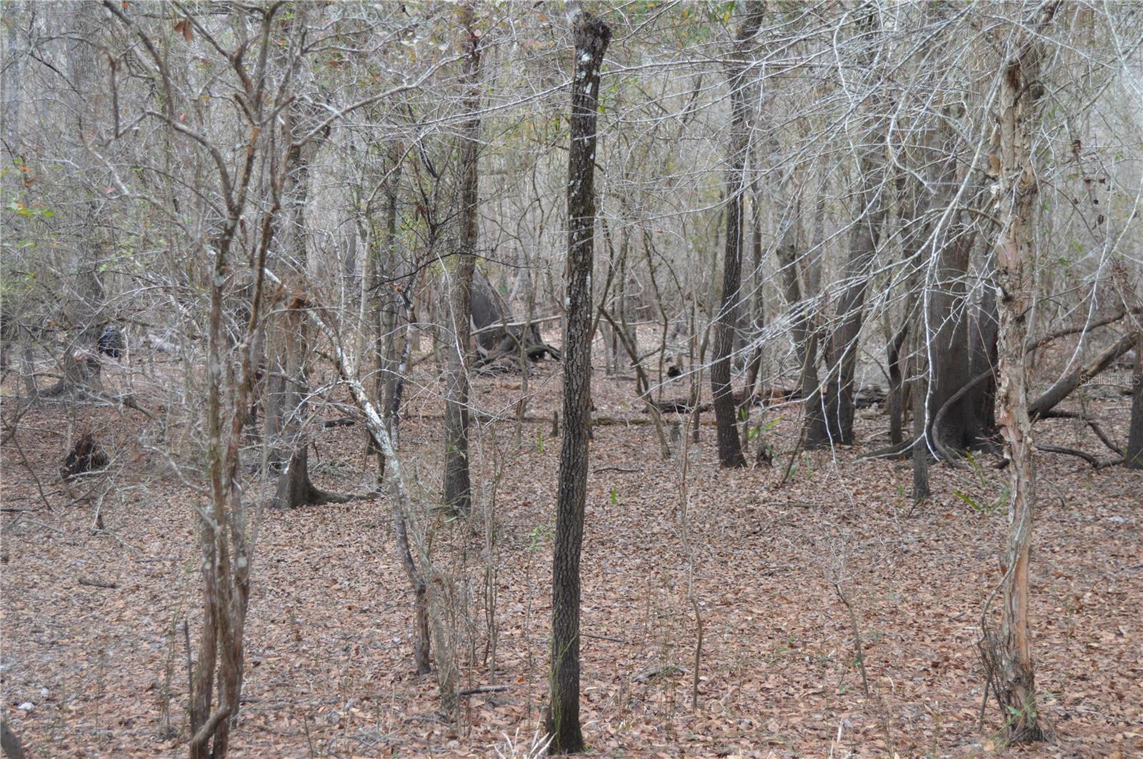 Image 42 of 51 For 1459 743 Street