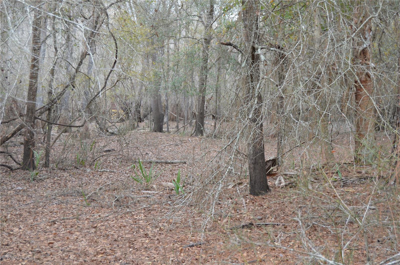 Image 44 of 51 For 1459 743 Street