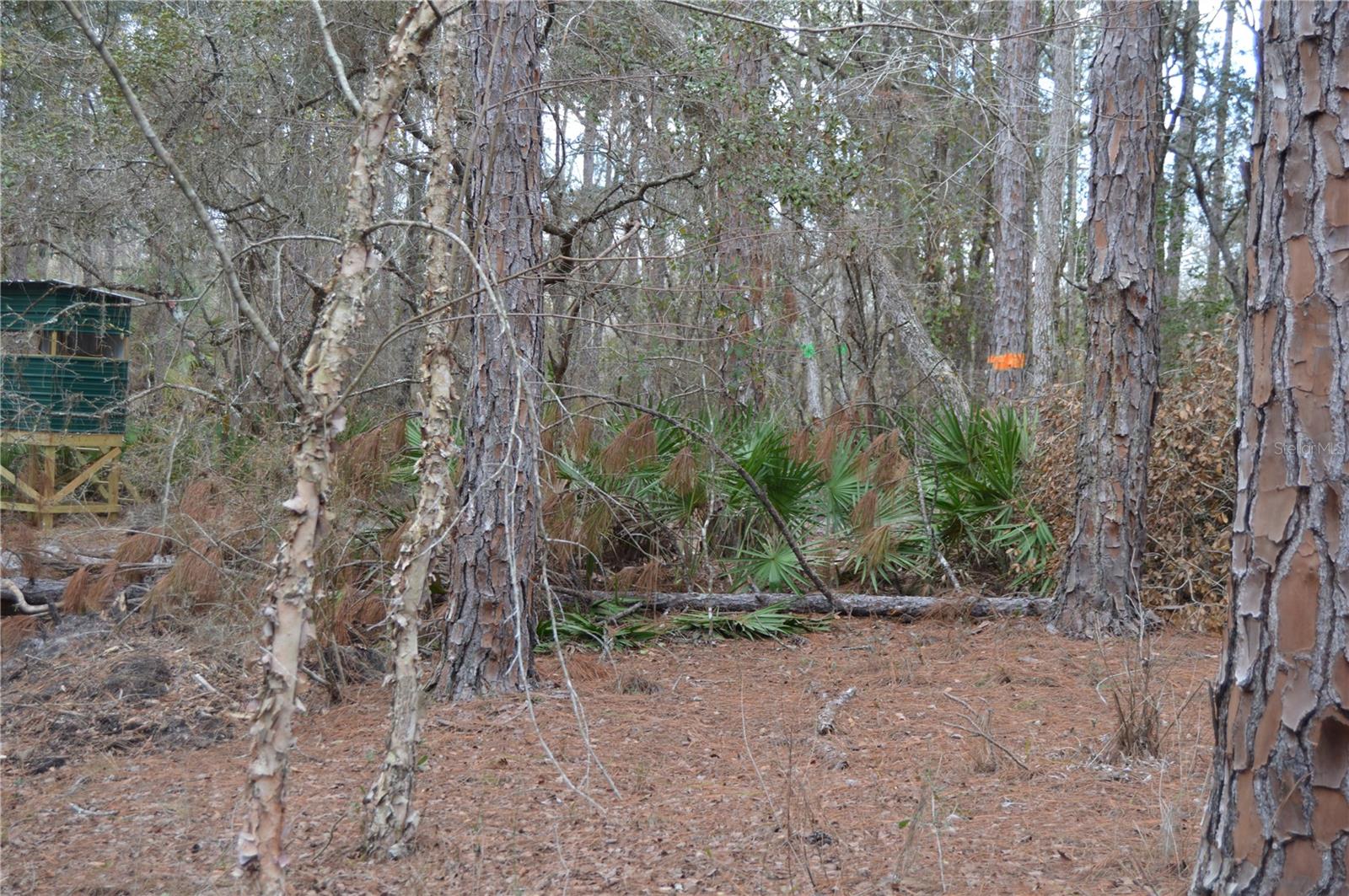 Image 46 of 51 For 1459 743 Street