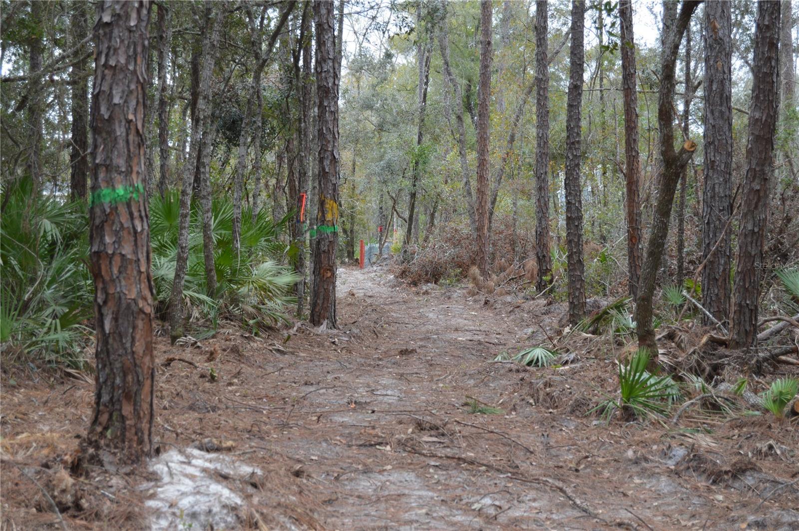 Image 49 of 51 For 1459 743 Street