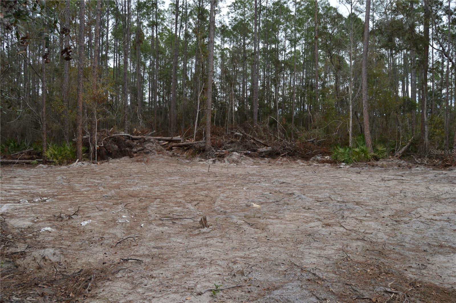 Image 51 of 51 For 1459 743 Street