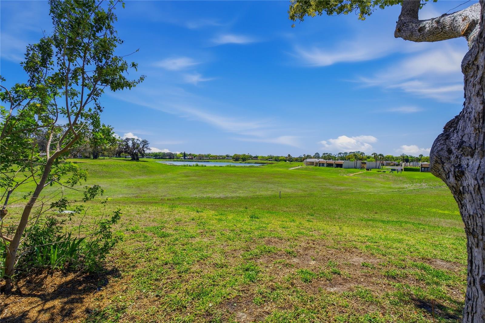 Image 34 of 47 For 11241 Dollar Lake Drive 4