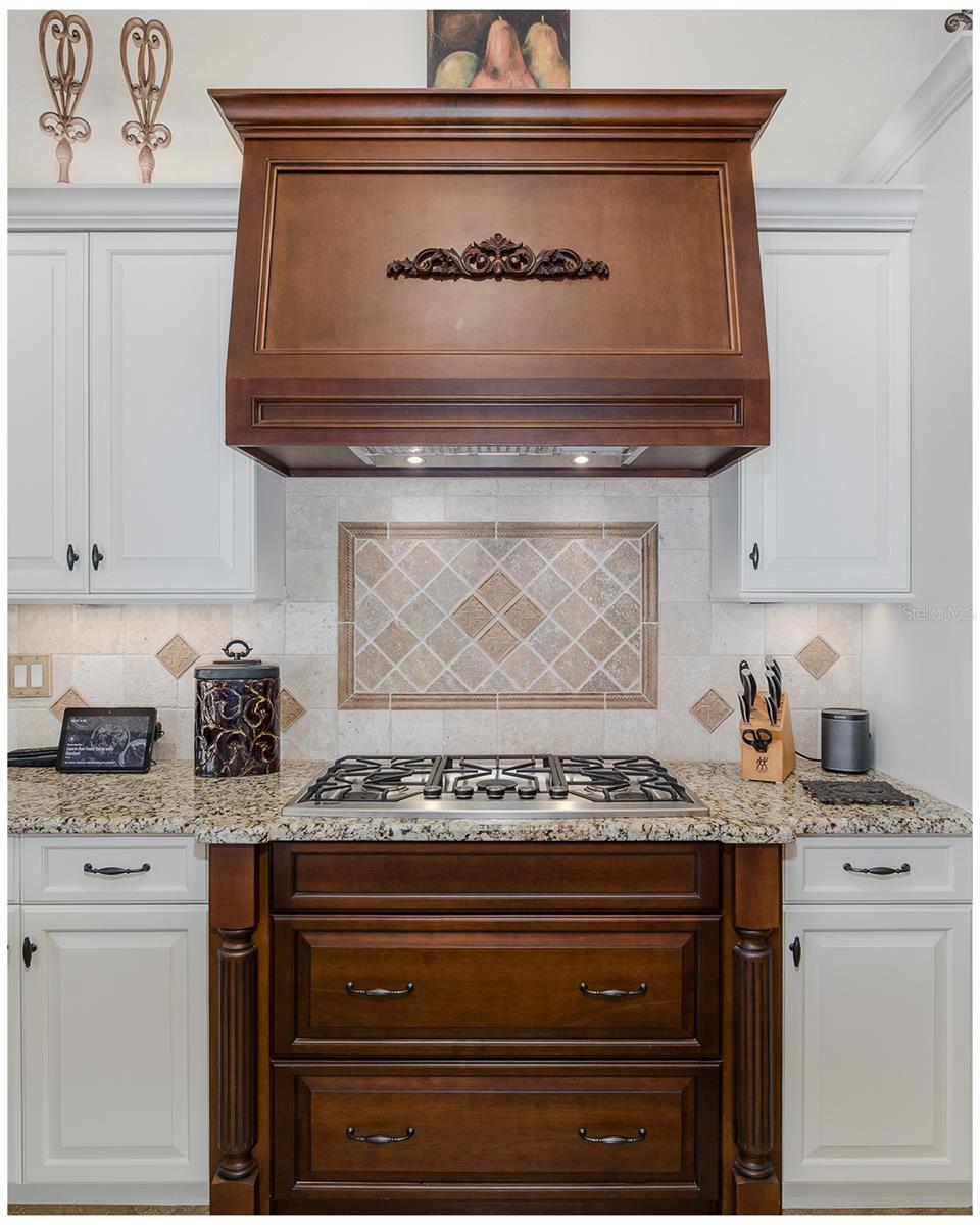 Image 25 of 97 For 10435 Pontofino Circle