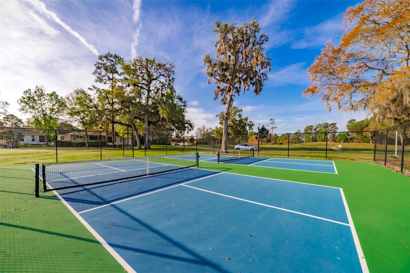 Listing photo id 64 for 4347 Gevalia Drive