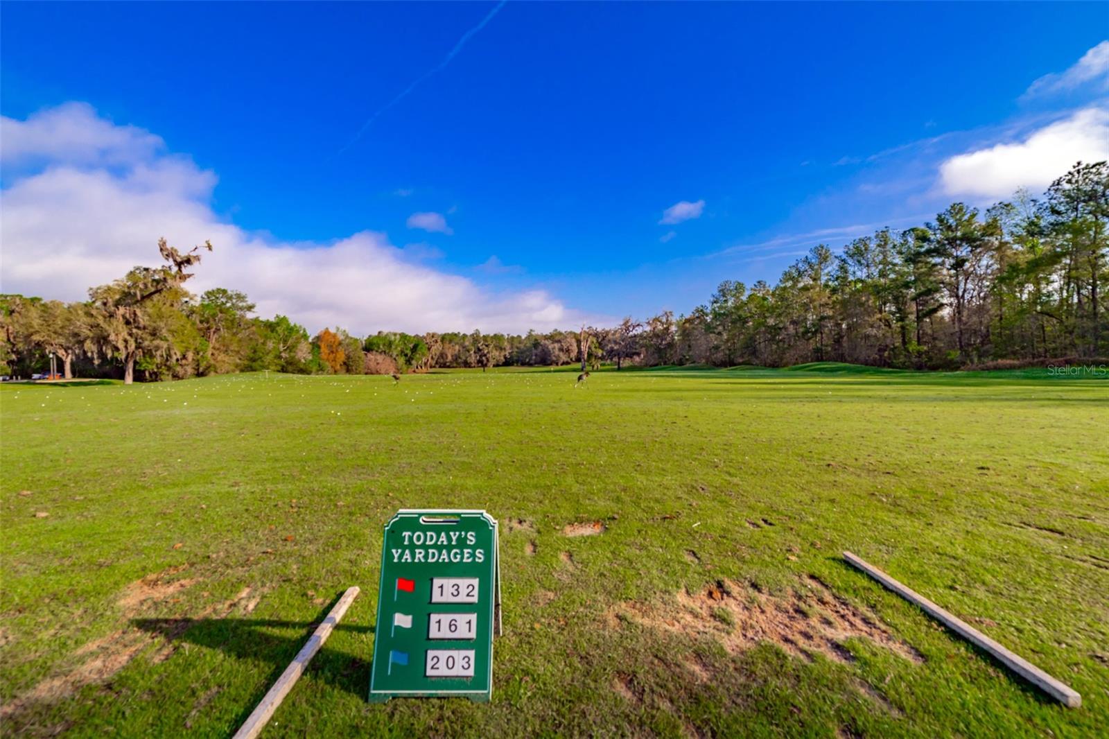 Listing photo id 66 for 4347 Gevalia Drive