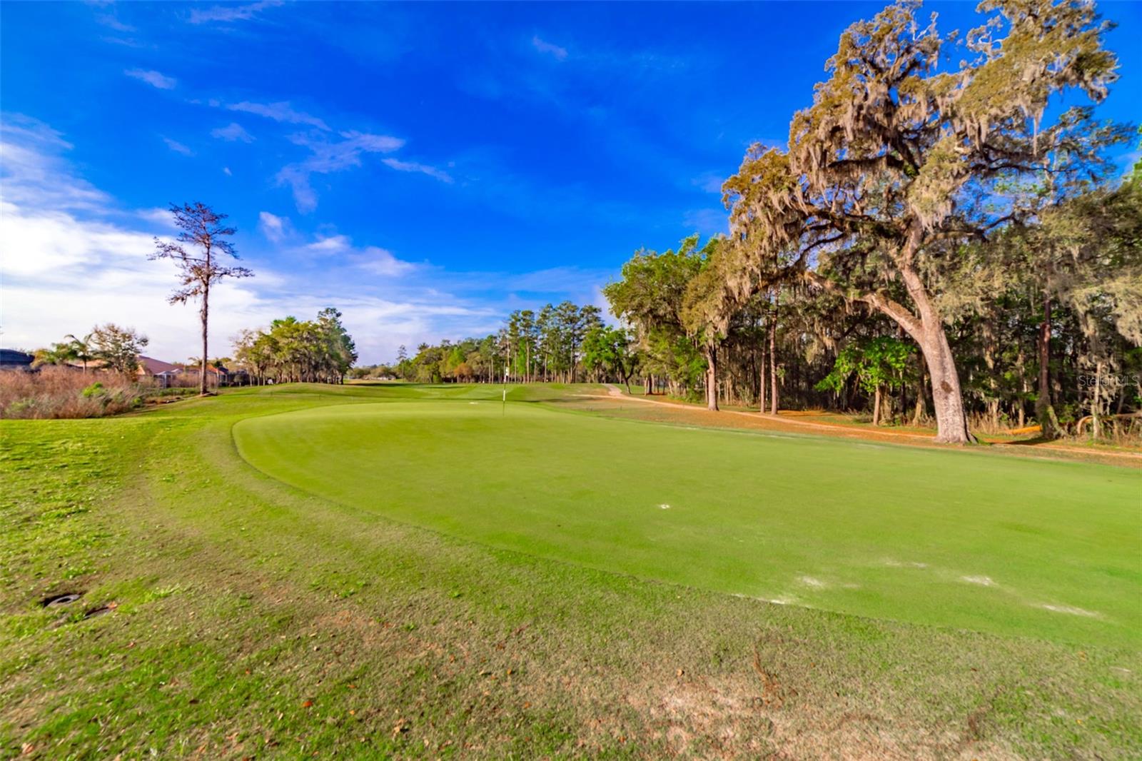 Listing photo id 67 for 4347 Gevalia Drive