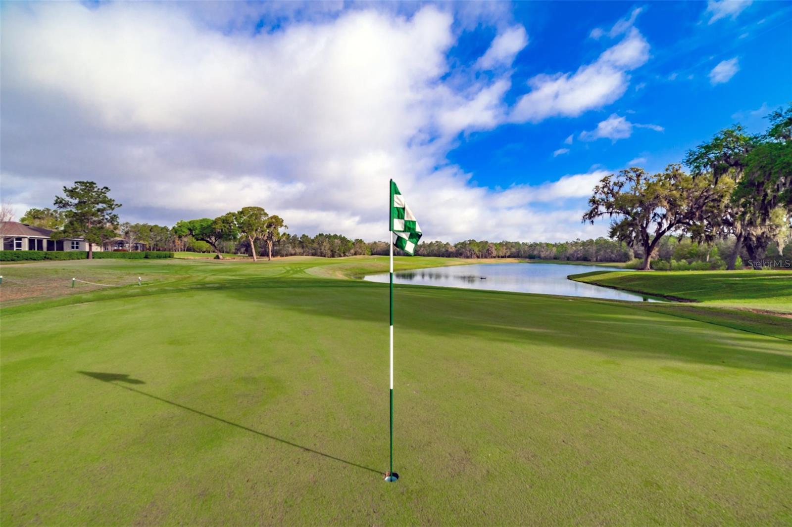 Listing photo id 75 for 4347 Gevalia Drive