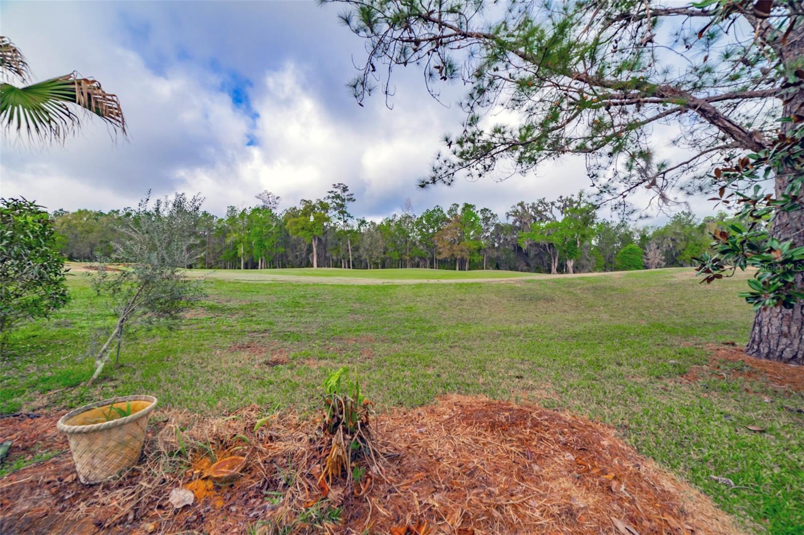 Listing photo id 6 for 4347 Gevalia Drive