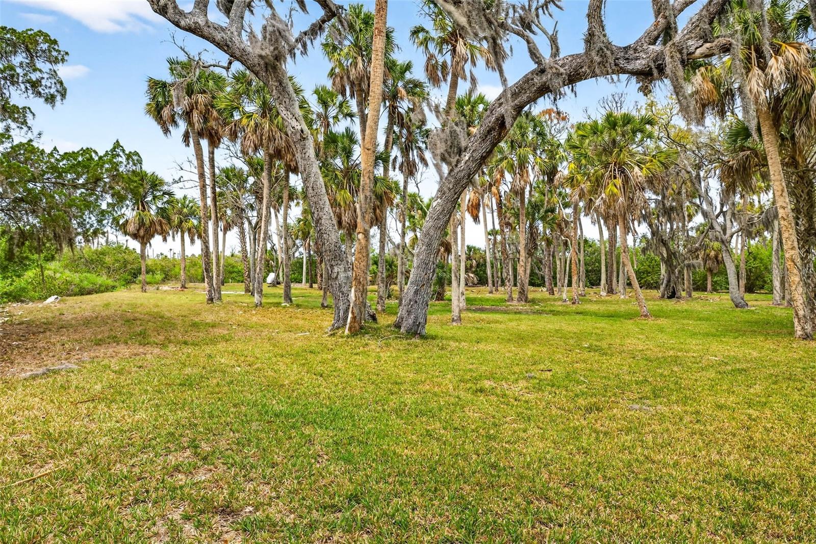 Image 10 of 29 For 5400 Tropical Woods Court