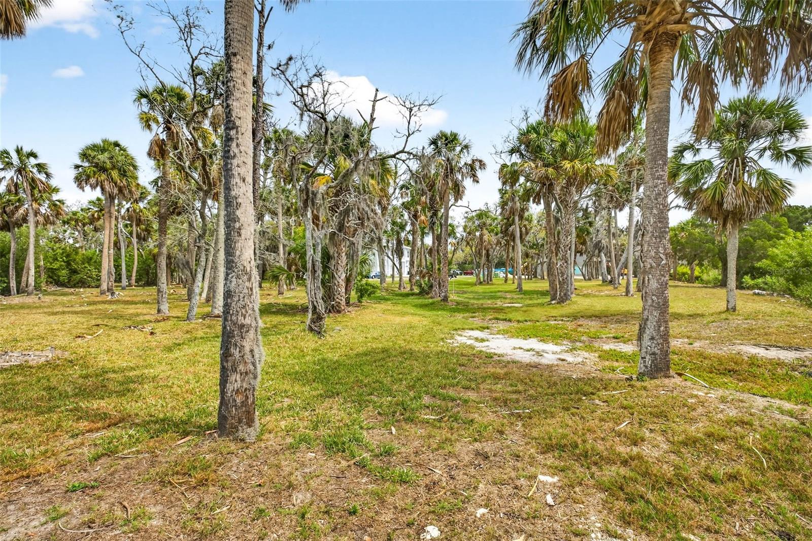 Image 14 of 29 For 5400 Tropical Woods Court