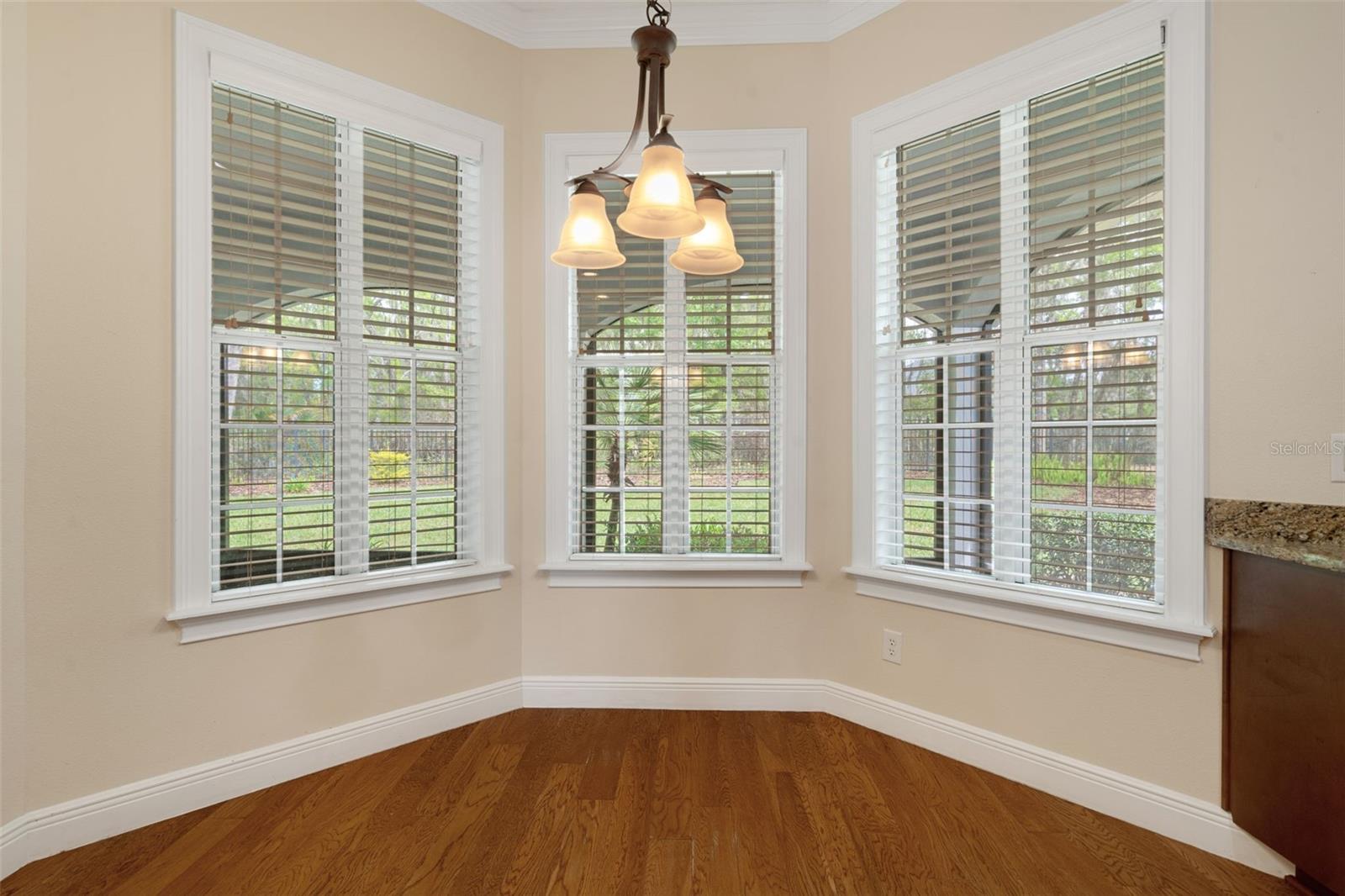 Image 36 of 90 For 6096 Dusk Rose Lane