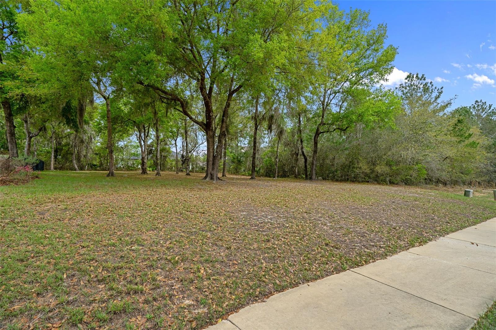 Image 68 of 90 For 6096 Dusk Rose Lane