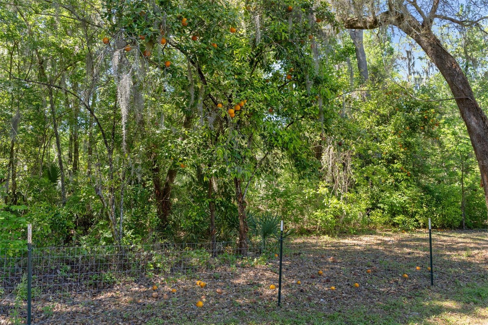 Listing photo id 48 for 5487 Cedar Lane