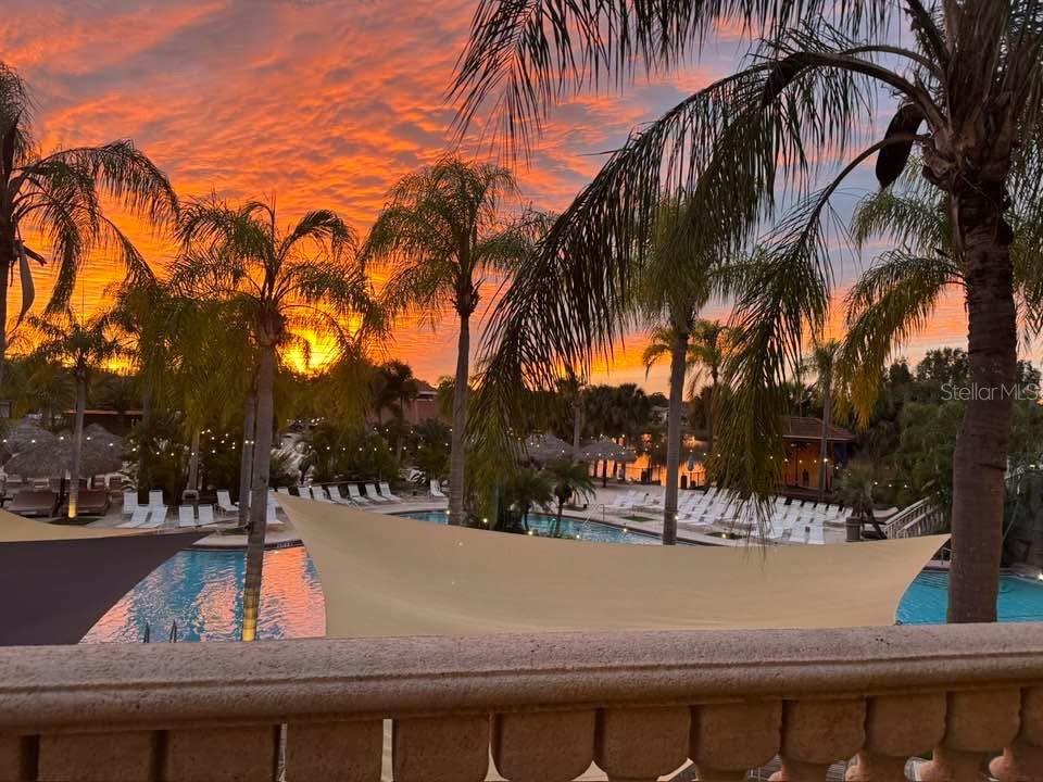 Image 58 of 63 For 6816 Dali Avenue 201