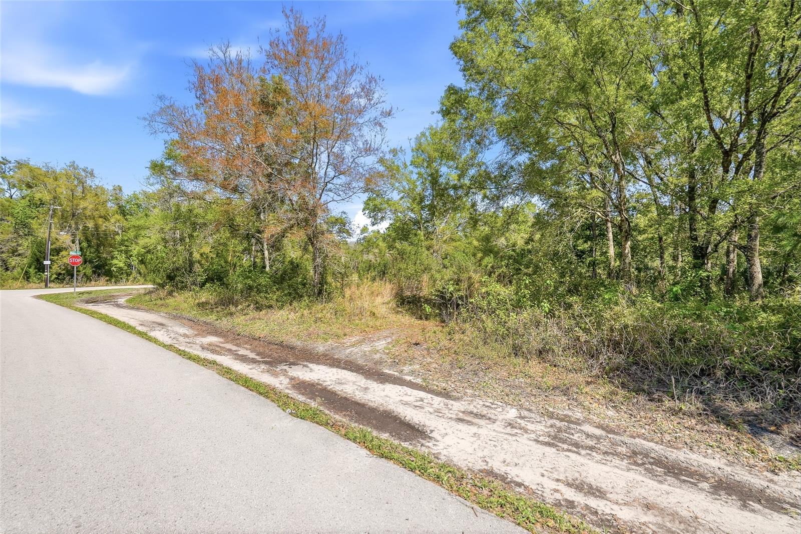 Image 10 of 32 For 100 Fern Street