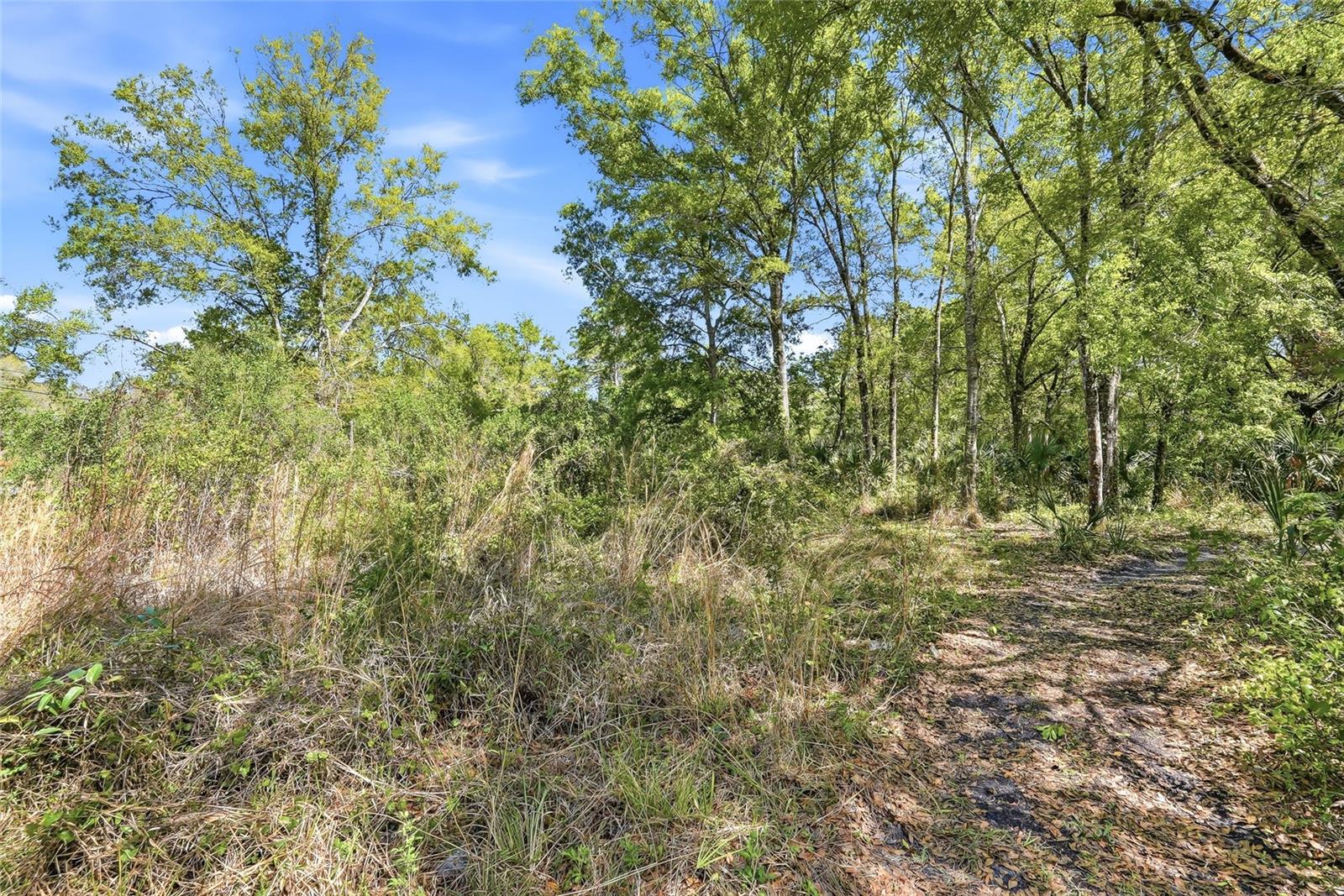 Image 11 of 32 For 100 Fern Street