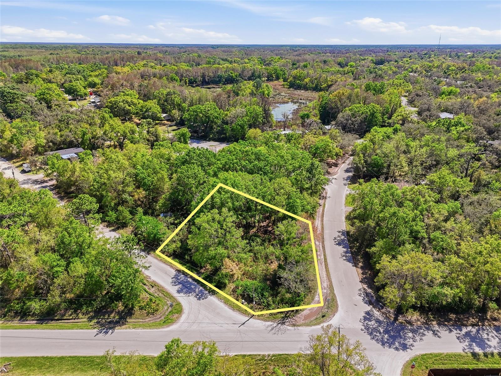 Image 15 of 32 For 100 Fern Street