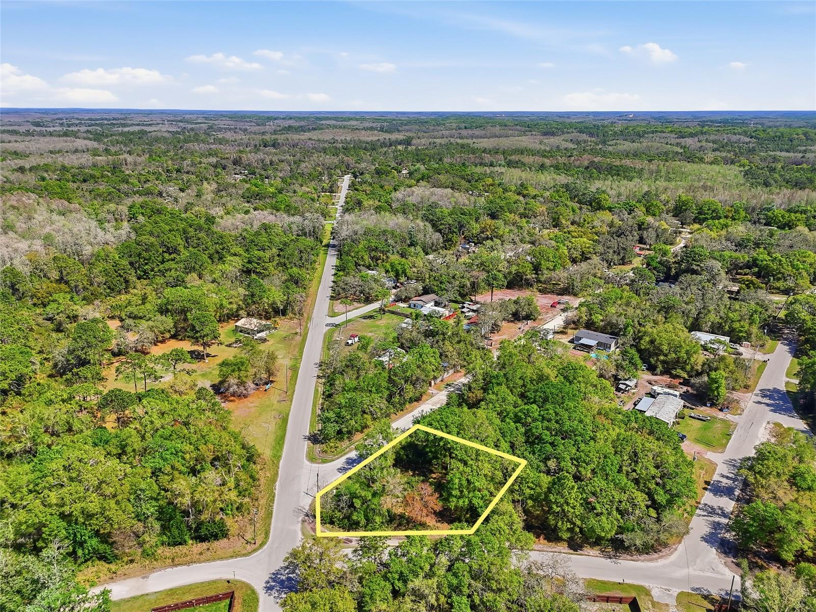 Image 17 of 32 For 100 Fern Street