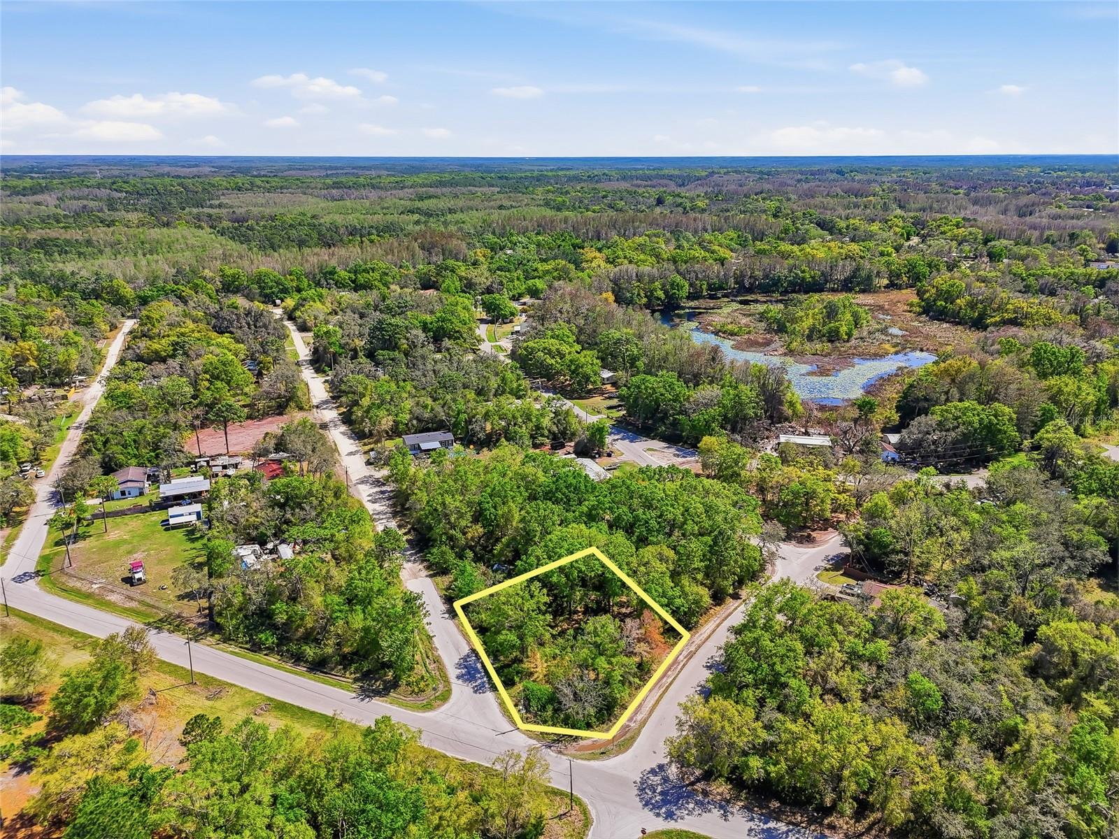 Image 19 of 32 For 100 Fern Street