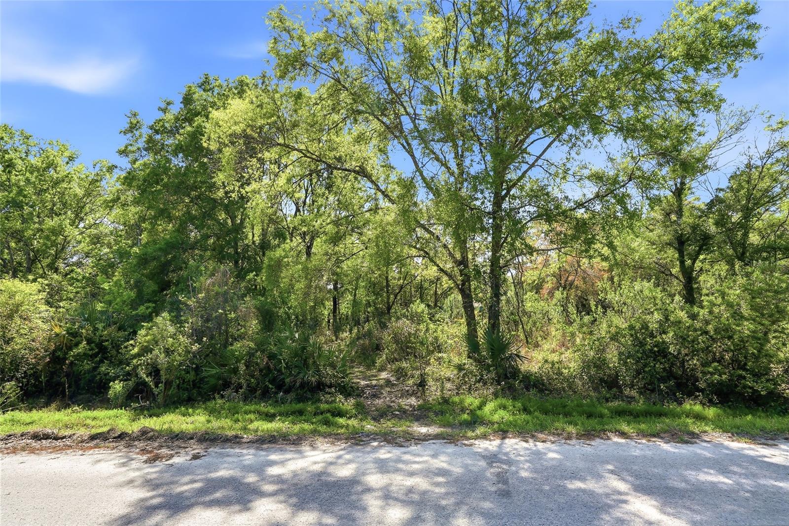 Image 2 of 32 For 100 Fern Street