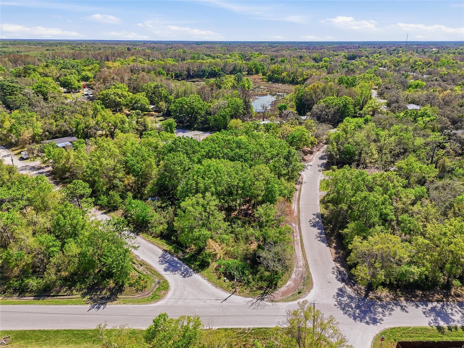 Image 20 of 32 For 100 Fern Street