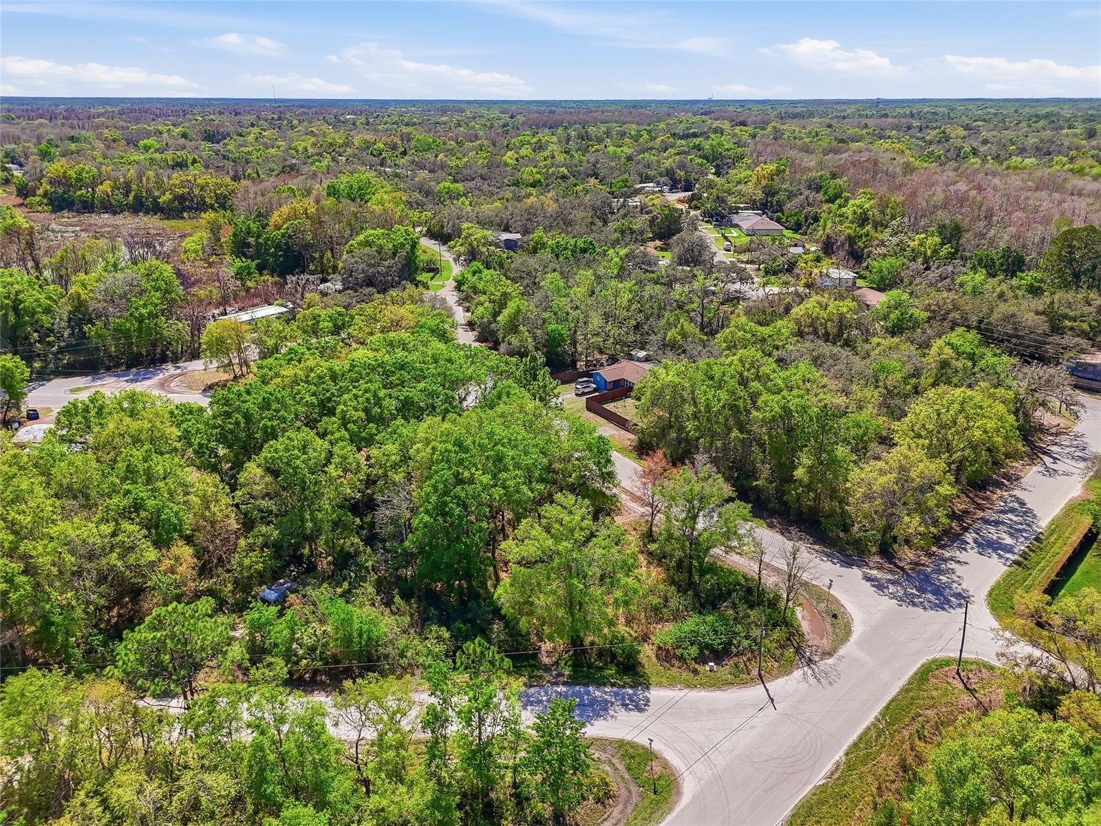 Image 21 of 32 For 100 Fern Street