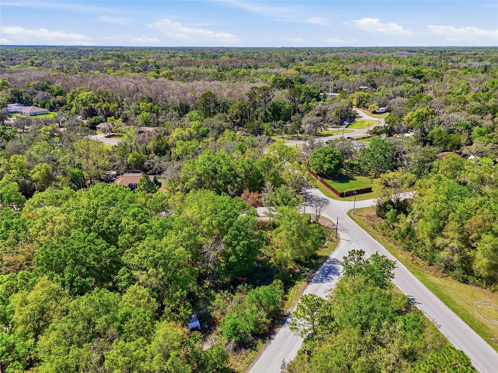 Image 22 of 32 For 100 Fern Street