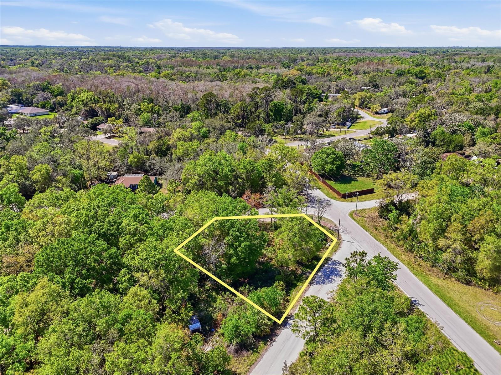 Image 23 of 32 For 100 Fern Street