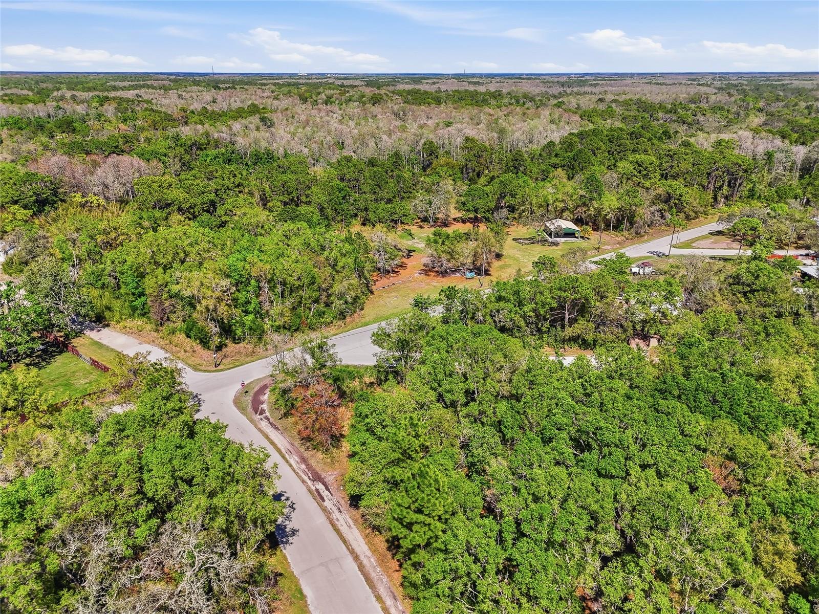 Image 24 of 32 For 100 Fern Street