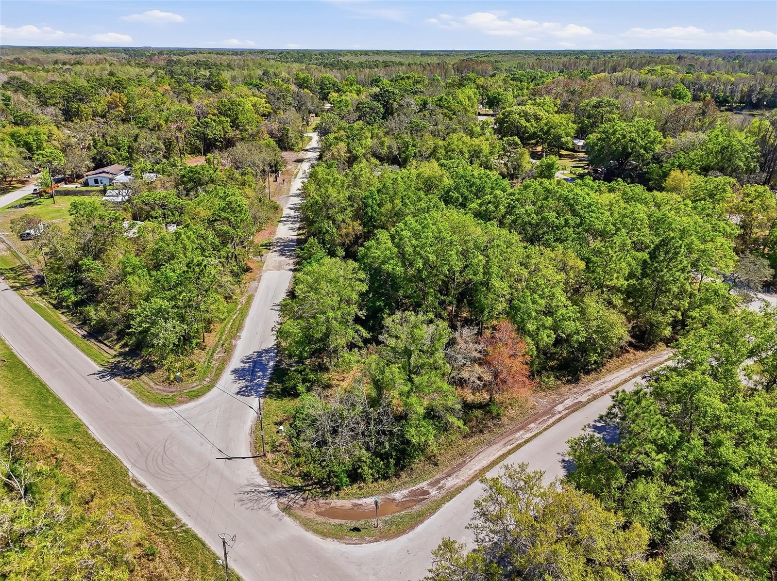 Image 27 of 32 For 100 Fern Street