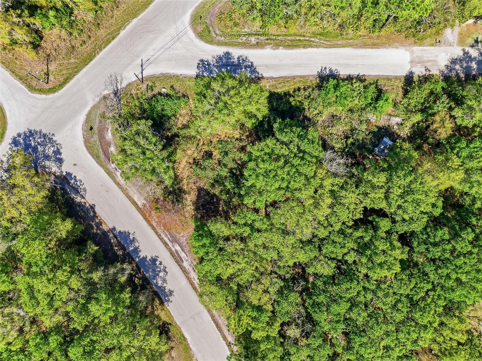 Image 28 of 32 For 100 Fern Street