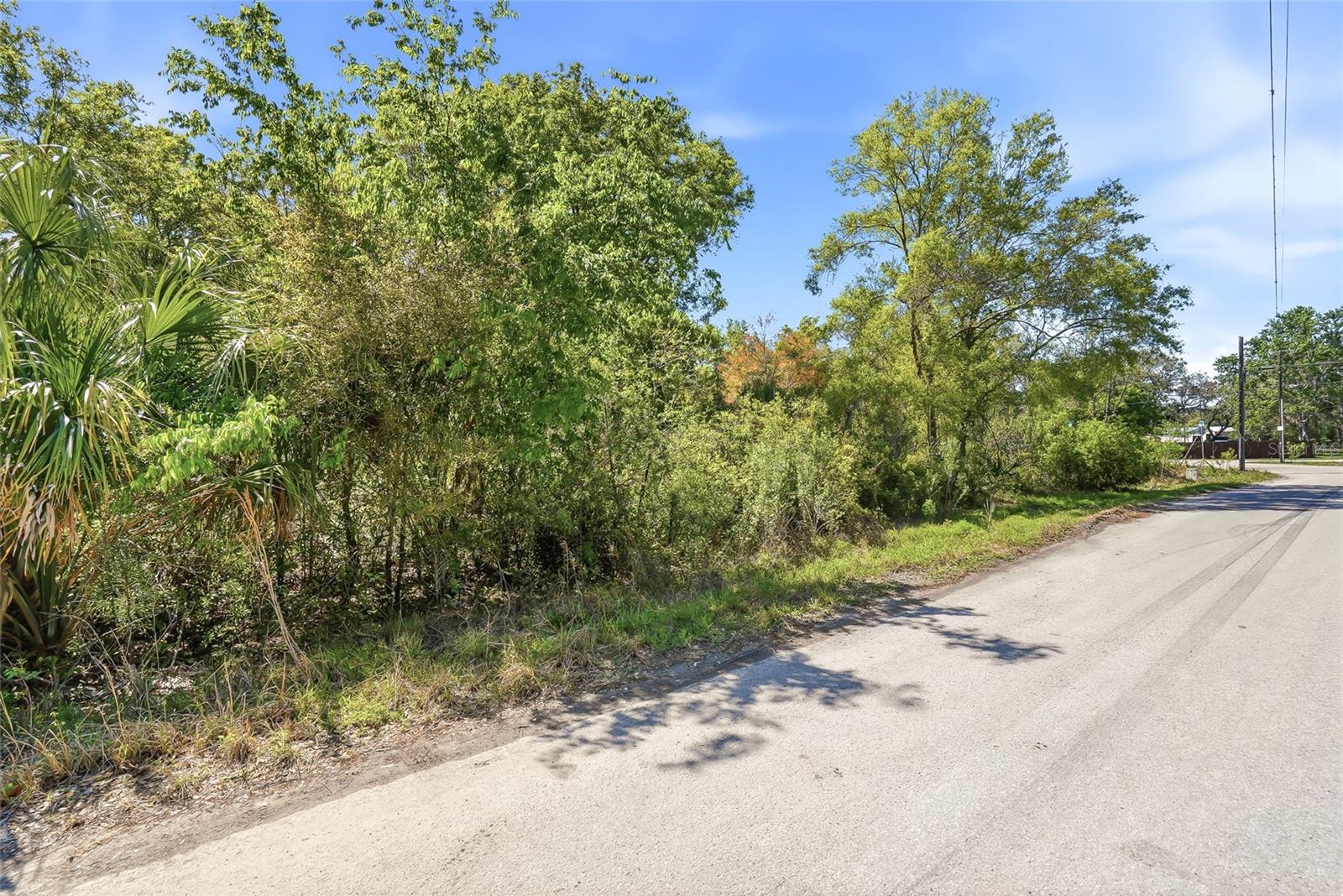 Image 3 of 32 For 100 Fern Street