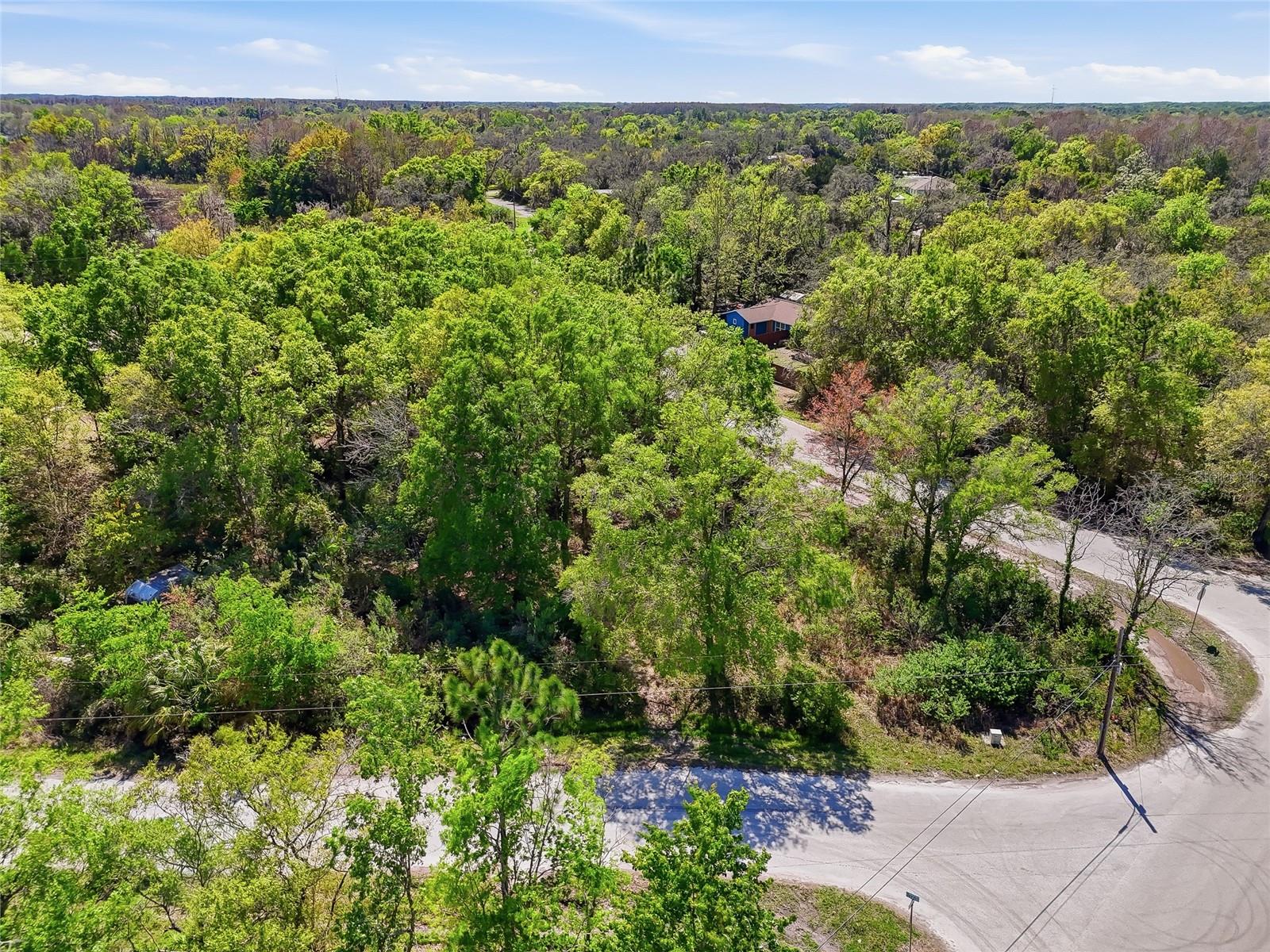 Image 30 of 32 For 100 Fern Street